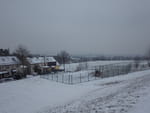 2019-01-24_15-19-39_RIMG7506.jpg