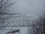 2019-01-24_15-20-39_RIMG7509.jpg
