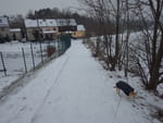 2019-01-24_15-20-43_RIMG7510.jpg