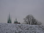 Photos