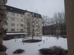 2019-01-26_15-13-33_RIMG7545.jpg
