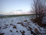 2019-01-27_16-49-25_RIMG7587.jpg