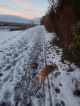 2019-01-27_16-52-26_RIMG7588.jpg
