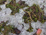 2019-01-28_15-14-12_RIMG7598.jpg