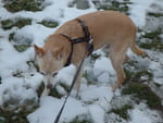 2019-01-28_15-21-17_RIMG7604.jpg