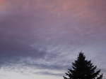 2019-01-31_18-02-13_P1450078.jpg