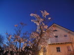 2019-02-04_18-50-11_P1450098.jpg