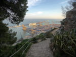 Photos