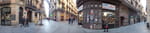 2019-02-12_17-00-47_RIMG7805-pan.jpg