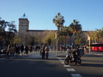2019-02-12_17-08-01_RIMG7817.jpg