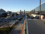 2019-02-12_17-32-36_RIMG7839.jpg