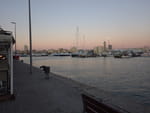 2019-02-12_18-22-44_RIMG7877.jpg