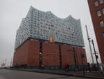 2019-02-13_16-40-42_RIMG8023.jpg