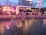 Photos