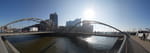 2019-02-14_13-37-08_P1480144-pan.jpg