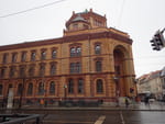 2019-03-03_14-05-07_RIMG8208.jpg