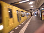 2019-03-04_10-01-37_RIMG8215.jpg