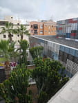2019-03-06_17-44-03_P1530675.jpg