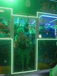 2019-03-09_21-39-44_P1540614.jpg
