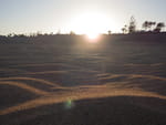 2019-03-12_19-37-39_RIMG8509.jpg