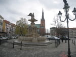 Photos