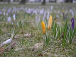 2019-03-15_17-12-56_P1560370.jpg