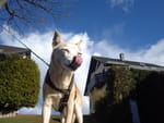 2019-03-18_15-23-01_RIMG8667.jpg