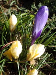 2019-03-18_15-28-34_RIMG8686.jpg