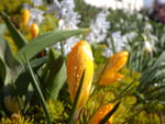 Photos