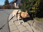 2019-03-20_12-28-34_DJI_0136.jpg