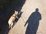 2019-03-20_12-32-56_DJI_0146.jpg