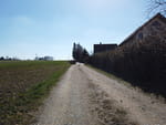 2019-03-20_12-35-46_DJI_0152.jpg