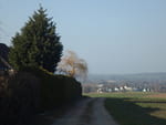 2019-03-22_16-04-35_RIMG8748.jpg