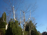 2019-03-22_16-14-31_RIMG8778.jpg