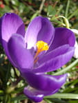 2019-03-22_16-16-27_RIMG8782.jpg