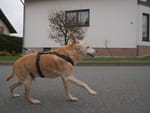 Photos
