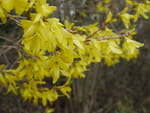 2019-03-27_15-26-57_P1560782.jpg