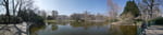 2019-03-30_12-23-34_P1560991-pan.jpg