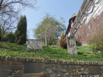 2019-03-30_12-42-47_P1570059.jpg