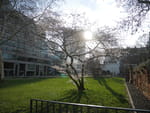 2019-03-30_16-40-50_P1570365.jpg