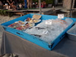 2019-04-12_18-13-10_RIMG9079.jpg