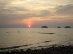 Photos