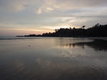 2019-04-14_18-16-26_RIMG9341.jpg