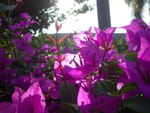 2019-04-15_16-25-31_RIMG9357.jpg