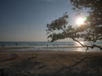 Photos
