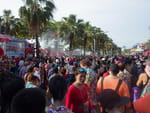 Photos