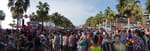 2019-04-19_16-35-44_RIMG9657-pan.jpg