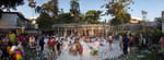 2019-04-19_17-52-33_RIMG9905-pan.jpg