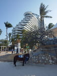 2019-04-21_16-34-58_RIMG0173.jpg