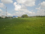 2019-04-22_16-00-15_P1590750.jpg